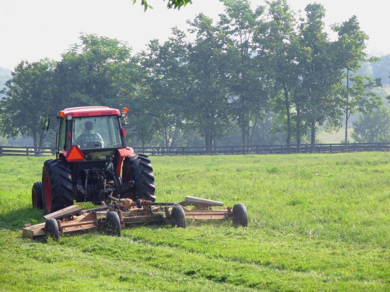 Brush Mowing Service in Duluth, MN