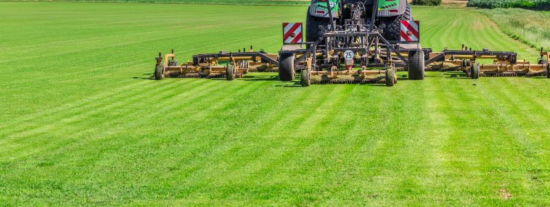 Field Grass Cutting Service