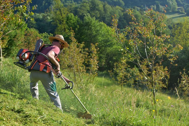 Field Grass Cutting Service Cost — Cost of Field Grass Cutting Service