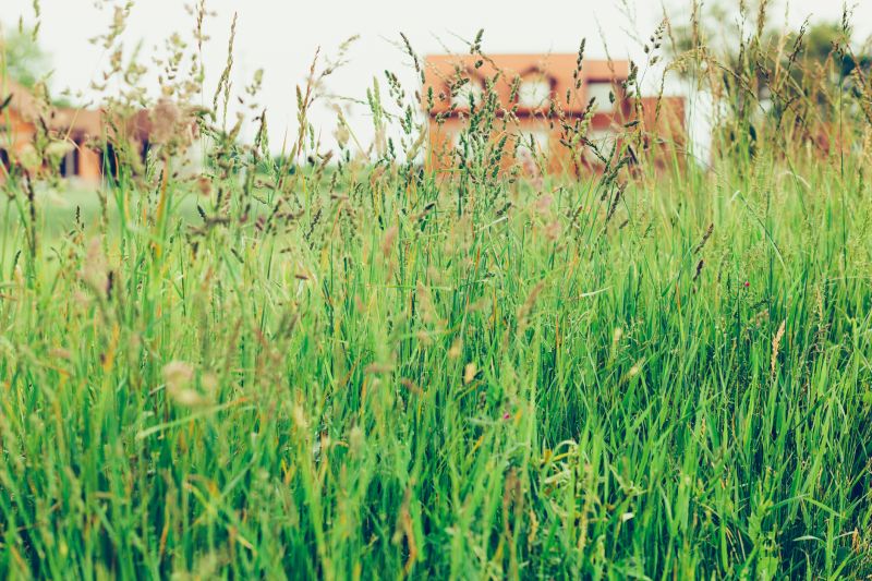 Products For Field Grass Cutting Service in use