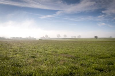 Allow Professionals To Handle The Cutting and Maintenance of Your Field